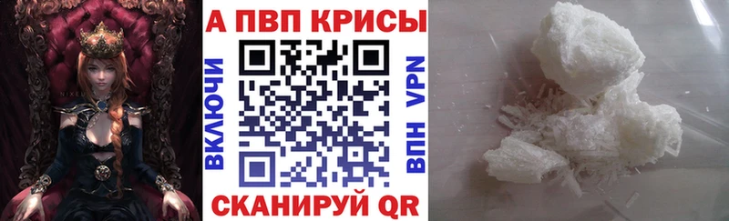 ОМГ ОМГ ТОР  продажа наркотиков  Каргополь  А ПВП мука 