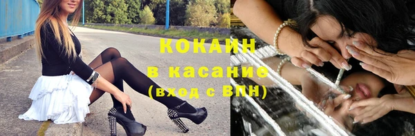 прущие крисы Арсеньев