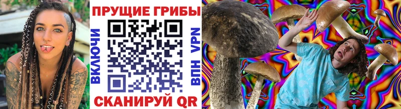 Галлюциногенные грибы Cubensis  Каргополь 